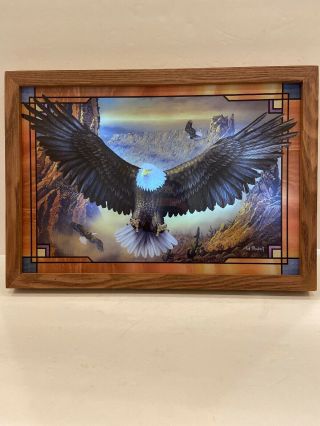 Ted Baylock Eagle Picture Wings Of Power The Bradford Exchange Limited Edition