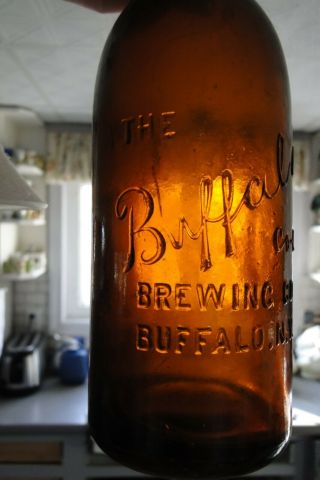 The Buffalo Co - Op Brewing Company,  Buffalo,  Ny Amber Bottle - 9 - 3/4 " Tall