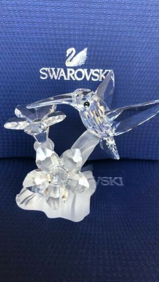 Swarovski Hummingbird Clear Crystal Figurine 166 184 / 7615 Nr 000 001 Rr D