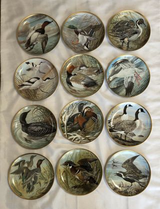 (set Of 12) Franklin Porcelain Water Birds Of The World Collector 