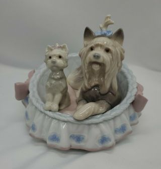 Lladro Spain Porcelain Figurine W/box 6469 Our Cozy Home Dog Puppy Yorkie