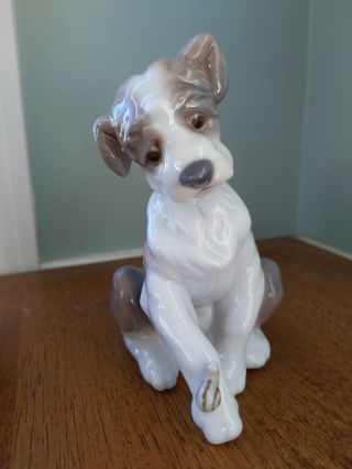 Lladro Figurine " Friend " Dog With Snail On Paw - 6211 -