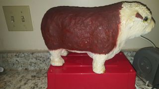 Vintage Chalkware Hereford Bull Bank Texas Hill Country Ranch Primitive 14 "