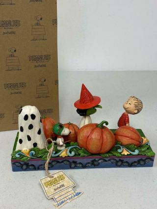 Jim Shore Peanuts " Each Year,  The Great Pumpkin Rises " Charlie Brown Halloween