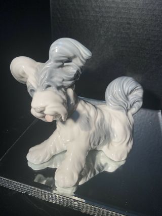 Lladro Skye Terrier Dog Grey & White Porcelain Figurine 