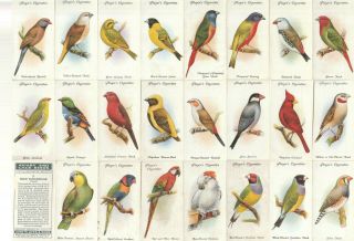 Full Set Of 50 Cigarette Cards 1933 Players Set " Aviary & Cage Birds "
