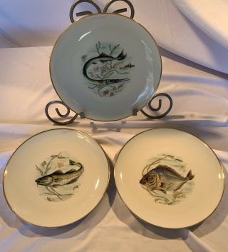 Kuba Porzellan Bavaria Germany Porcelain Fish Plates Set Of 3 Euc 9 1/2”