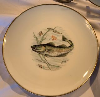 Kuba Porzellan Bavaria Germany Porcelain Fish Plates Set Of 3 EUC 9 1/2” 2