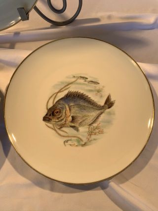 Kuba Porzellan Bavaria Germany Porcelain Fish Plates Set Of 3 EUC 9 1/2” 3