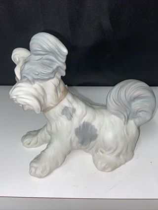 Lladro Porcelain Skye Terrier Dog Figurine 4643