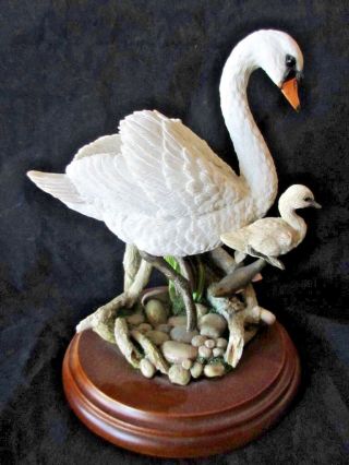 Country Artists " Swan With Cygnet " 01787 Hand Painted & Crafted