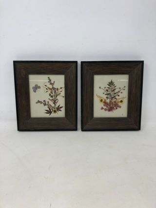 Vintage Dried Pressed Flowers Butterflies Framed Wall Art Pair Boho Mcm