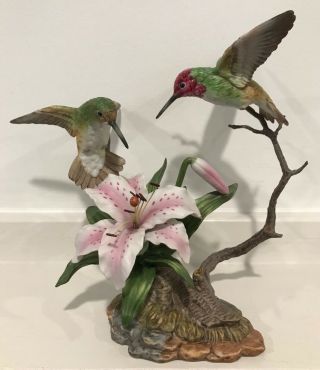 1989 Maruri “anna’s Hummingbird With Lily” Porcelain/bronze Figurine—h8905—mint