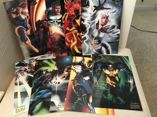 Set Of 10 6.  5 " X 10 " Flair Prints From 1994 Flair Marvel Universe
