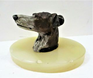 Cold Painted Austrian Paperweight,  Hound Dog On Onyx,  Early 20th C.
