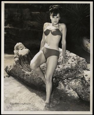 Bunny Yeager 8 " X10 " Hand Signed Proof Photograph Bathing Beauty Pin - Up 1966 Mod