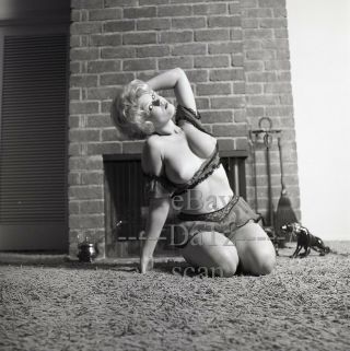 1960s Negative - Busty Nude Blonde Pinup Girl Terry Higgins - Cheesecake T282342