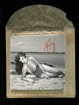 1950s Bunny Yeager Pin - up Camera Negative Photograph Bathing Beauty Sue James NR 3