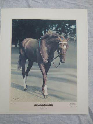 Tony Leonard Secretariat At The Belmont Signed Le Horse Photo Print