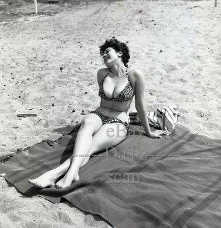 1950s Negative - Busty Pinup Girl Gigi Frost In Leopard Bikini T281520