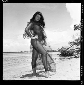 Rare Bettie Page 1954 Camera Negative Bunny Yeager Negligee Pinup