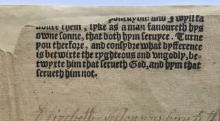1700s Handwritten Genealogy Nelson Family Jersey 17th Century Bishops’ Bible 3