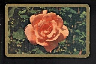 1 Listed Swap Playing Cards Newsagent Blank Back Lovely Pink Rose And Folage