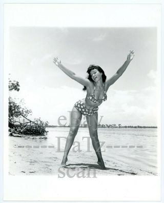Bunny Yeager Photo - Sexy Pinup Girl Betty Page - Cheesecake 8x10 U100449