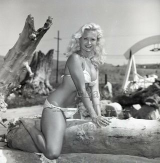 1950s Negative - Sexy Pinup Girl Janice Lee In Bikini - Cheesecake T281513