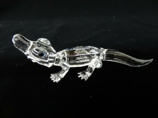 Swarovski Silver Crystal Alligator Figurine W/box A 7661 Nr 000 005