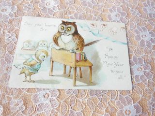 Victorian Year Card/anthropomorphic Owls At School/ernest Nister