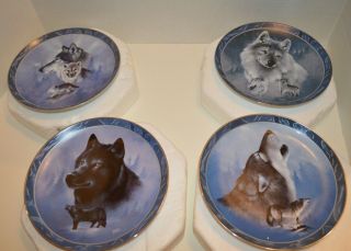 4 Bradford Exchange Spirit Of The Wilderness Wolf Commemorative Plates Signed