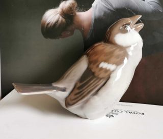 B&g Bing & Grondahl 1607 Sparrow Bird Figurine Figur Vogel Royal Copenhagen
