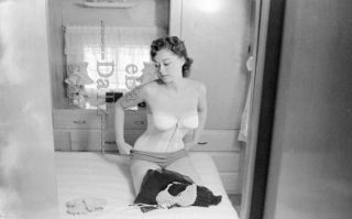 1950s Negative - Sexy Brunette Pinup Girl Donalda Jordan - Cheesecake T279904