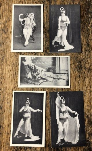 Five Pinup Arcade Cards Exhibit Supply Co.  Art Models Burlesque 1920