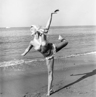 1950s Negative - Sexy Pinup Girl Janice Lee At The Beach - Cheesecake T279202