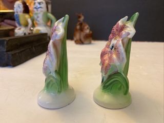 Anthropomorphic PY Japan Lily Flower Salt and & Pepper Shakers: boy and girl 2