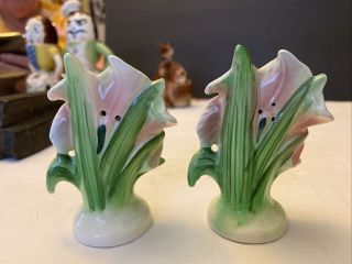 Anthropomorphic PY Japan Lily Flower Salt and & Pepper Shakers: boy and girl 3