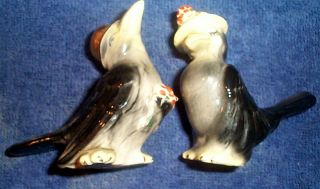 Vintage Arcadia Ceramics Inc Salt And Pepper Mr Mrs Crows Blackbirds