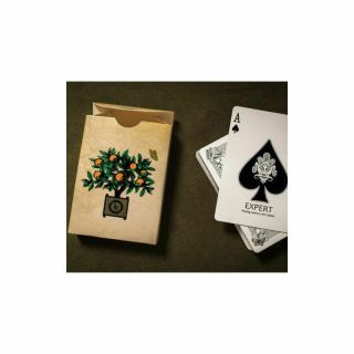 2014 Robert Houdin Les Printemps Playing Cards Art of Play EPCC Rare 3