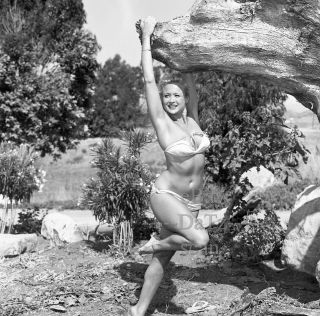 1950s Negative - Sexy Pinup Girl Janice Lee In Bikini - Cheesecake T280581