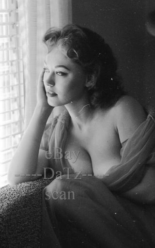 1950s Negative - Sexy Brunette Pinup Girl Donalda Jordan - Cheesecake T279905