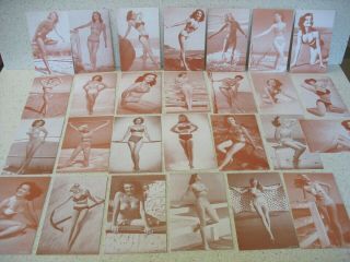 (27) Diff.  1950s Bathing Beauty Pin - Up Girls In Bikinis.  Arcade Cards Sepia Tone