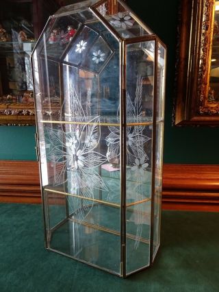 Brass & Glass Mirrored Display Case,  3 Levels,  Etched,  Hangs Or Stands,  14.  25 "