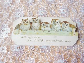 Victorian Christmas Card/cut - Out Owls Sitting On A Fence/ernest Nister