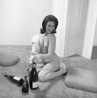 1960s Negative - Sexy Nude Brunette Pinup Girl Hattie Donald - Cheesecake T278713
