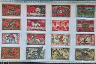 16 Antique C 1900 Matchbox Labels Japan / China - - Lions & Tigers