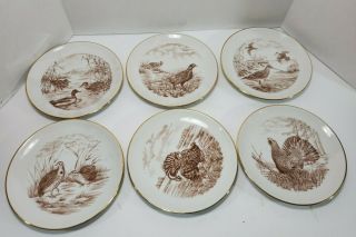 Set Of 6 Kuba Porzellan Bavaria Germany 8 " Porcelain Bird Hunter Plates