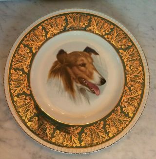 Collie Dog 10 1/2 " Plate Solian Ware Simpson 