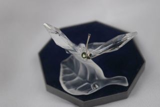 Swarovski Crystal Butterfly On Frosted Leaf No Box Or Stand
